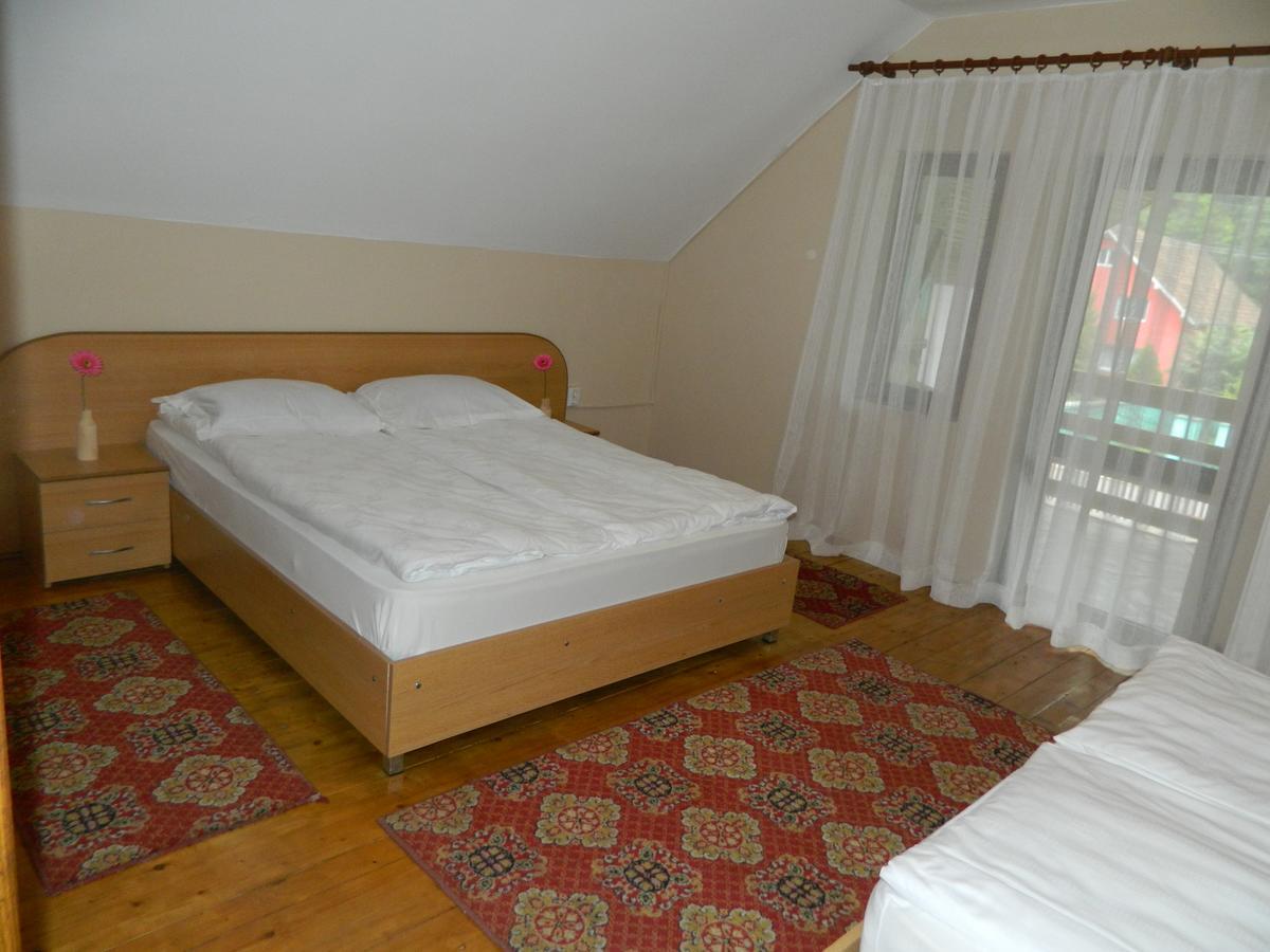 Cabana Florea Villa Rîu de Mori Dış mekan fotoğraf