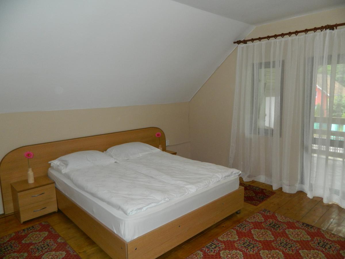 Cabana Florea Villa Rîu de Mori Dış mekan fotoğraf