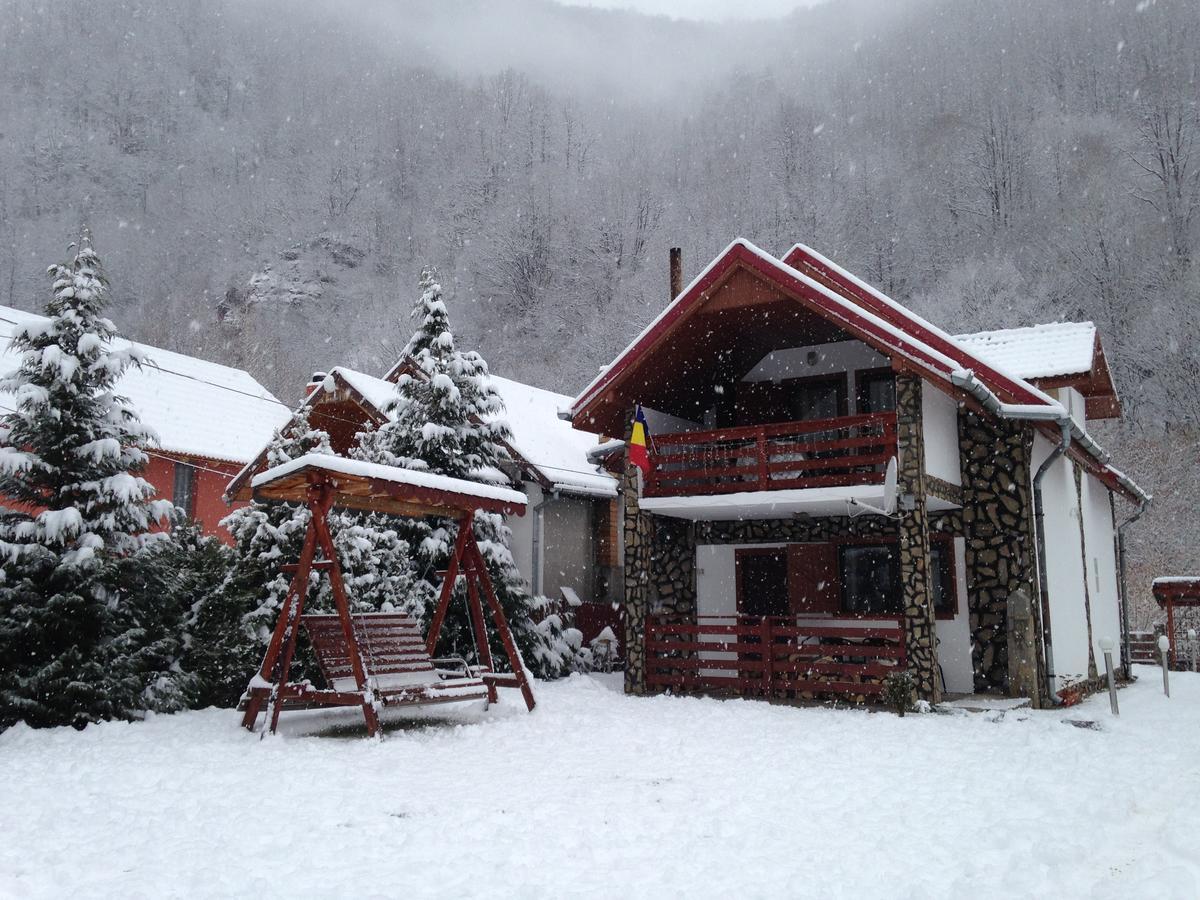 Cabana Florea Villa Rîu de Mori Dış mekan fotoğraf
